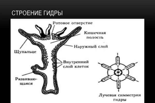 Кракен ссылка даркнет